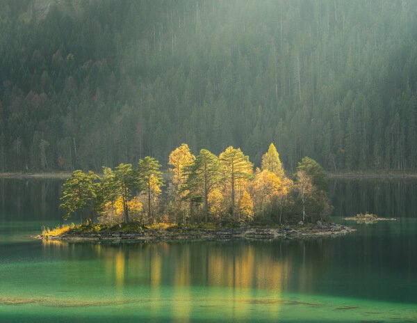 services-03 Services 03